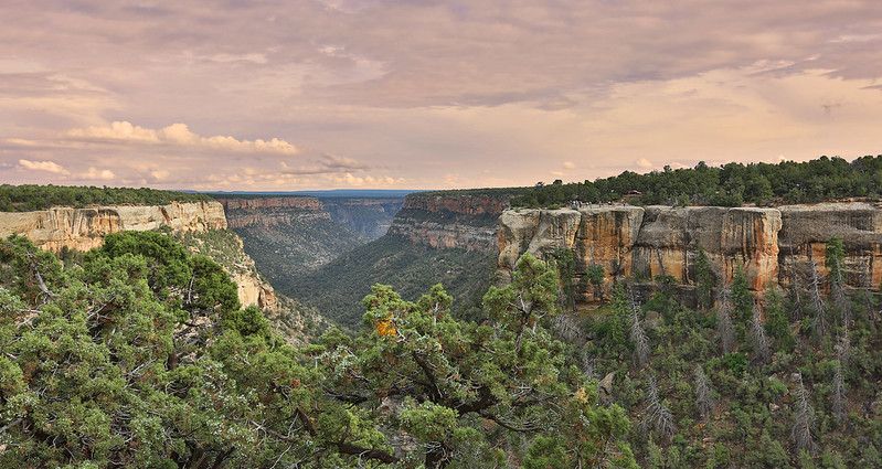 Mesa Verde Landscape
