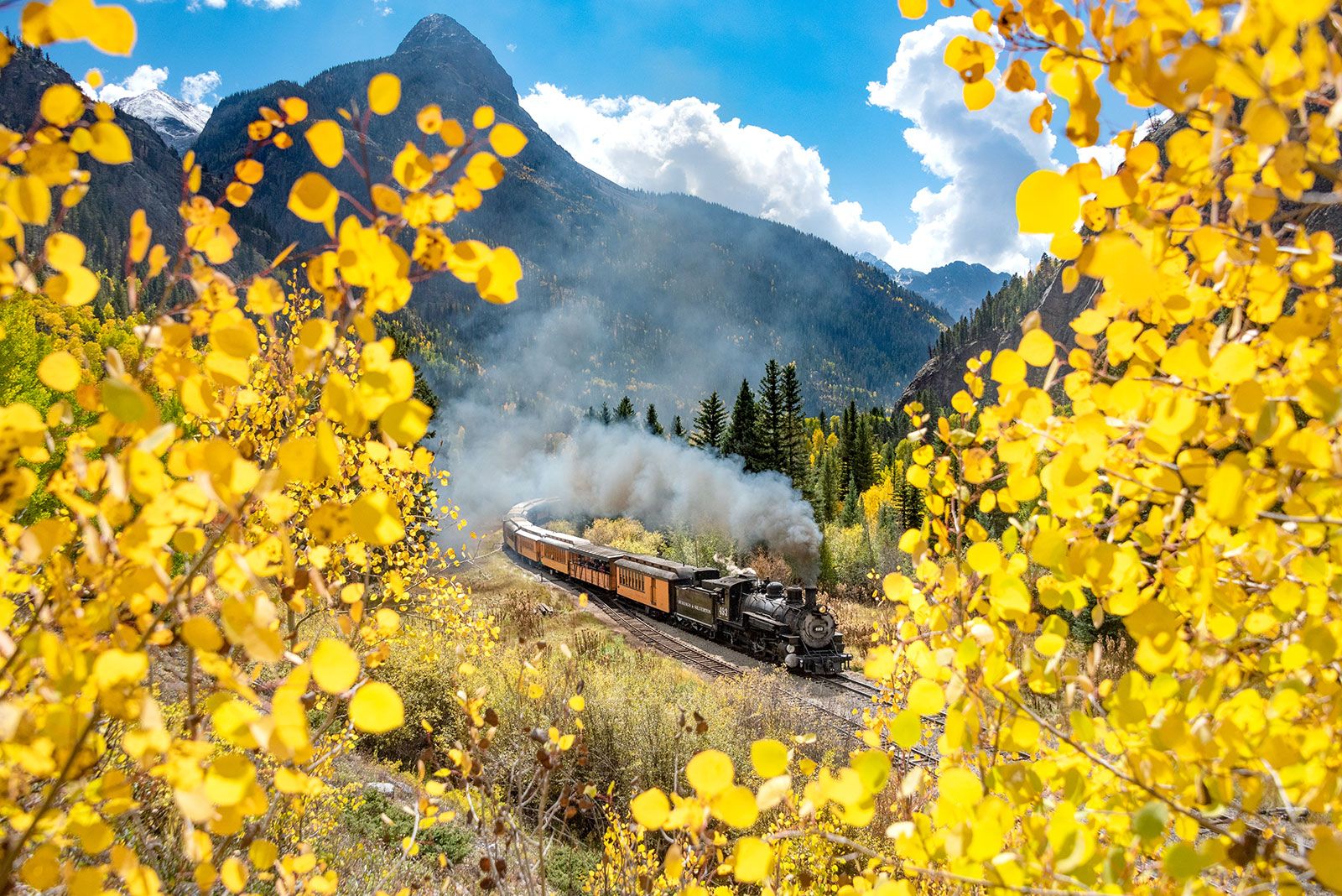 Photo of train and aspen trees