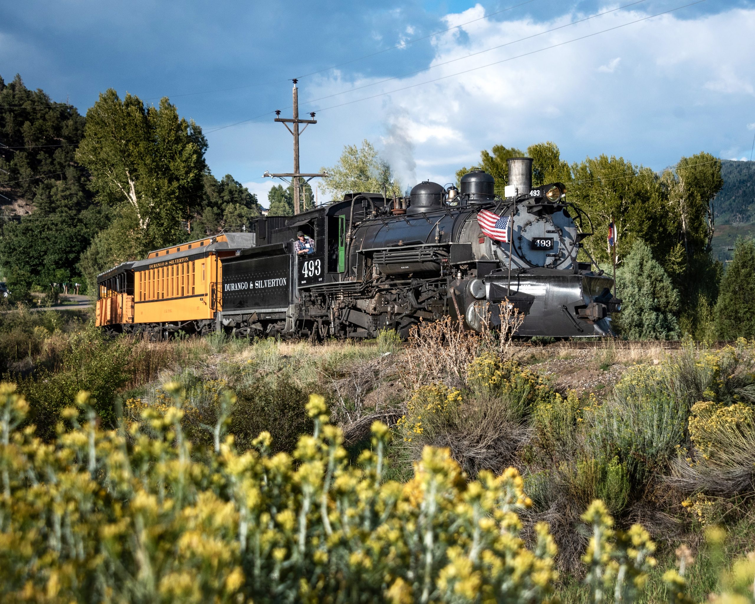 Packages Official Durango & Silverton Narrow Gauge Railroad Train